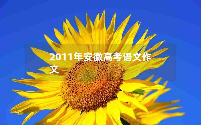 2011年安徽高考语文作文