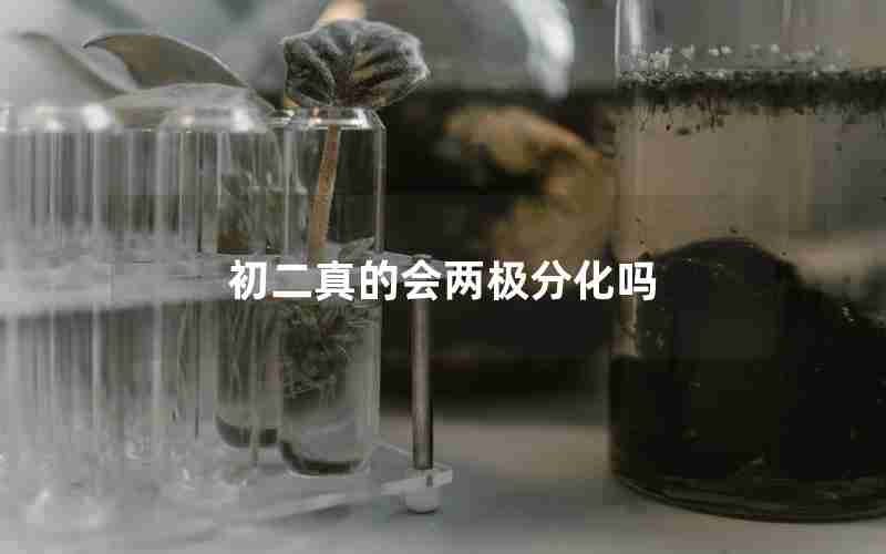 初二真的会两极分化吗