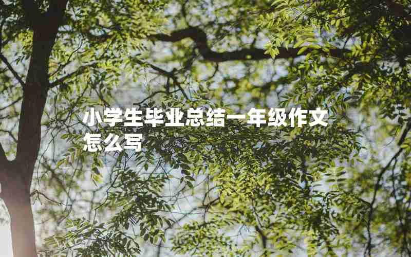 小学生毕业总结一年级作文怎么写