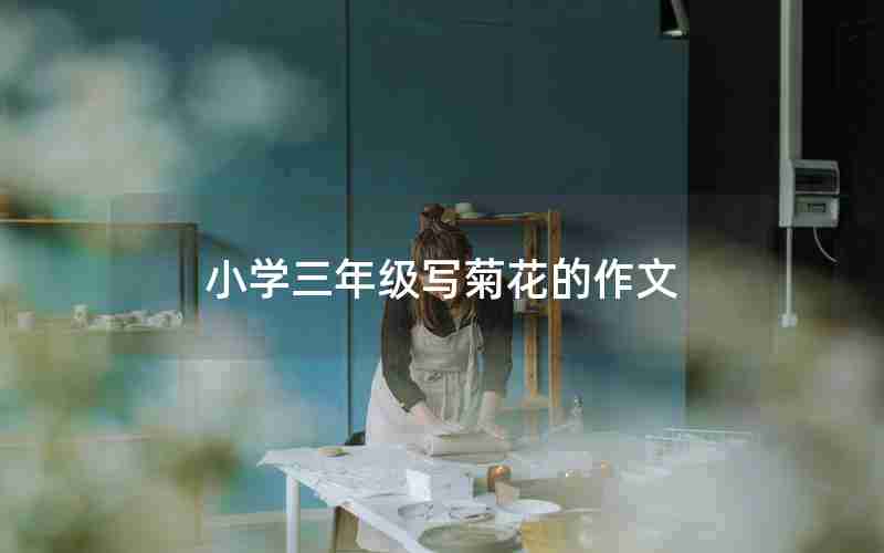 小学三年级写菊花的作文