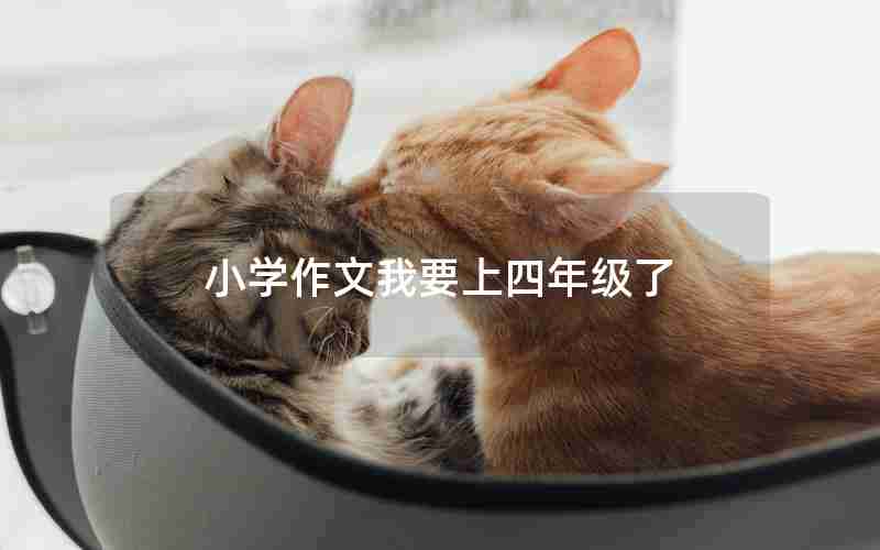 小学作文我要上四年级了