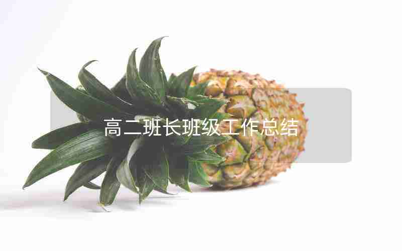 高二班长班级工作总结