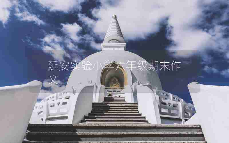 延安实验小学六年级期末作文