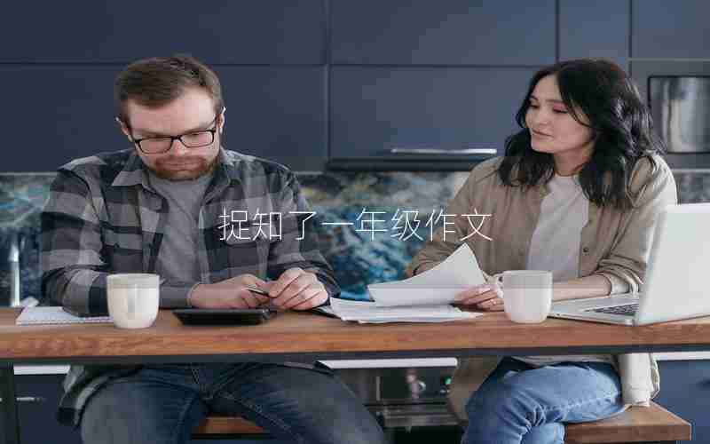捉知了一年级作文