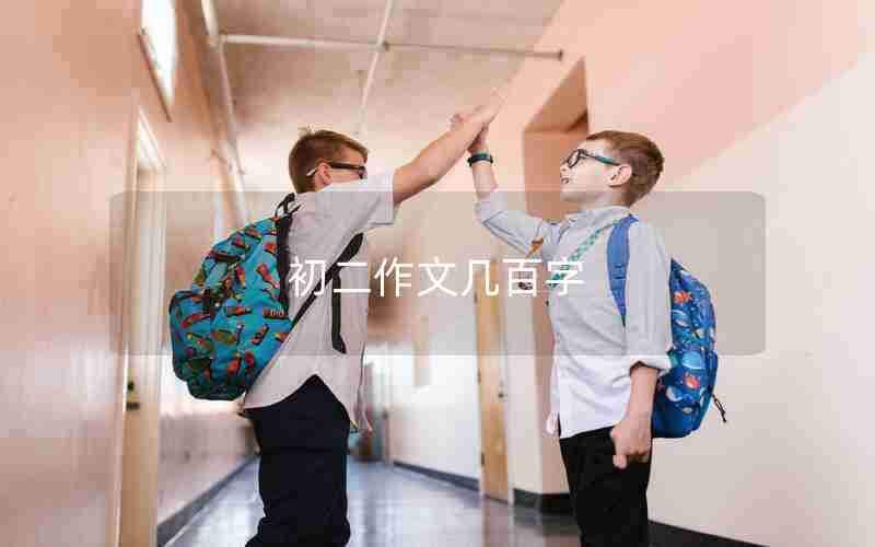 初二作文几百字