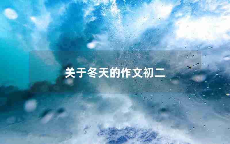 关于冬天的作文初二