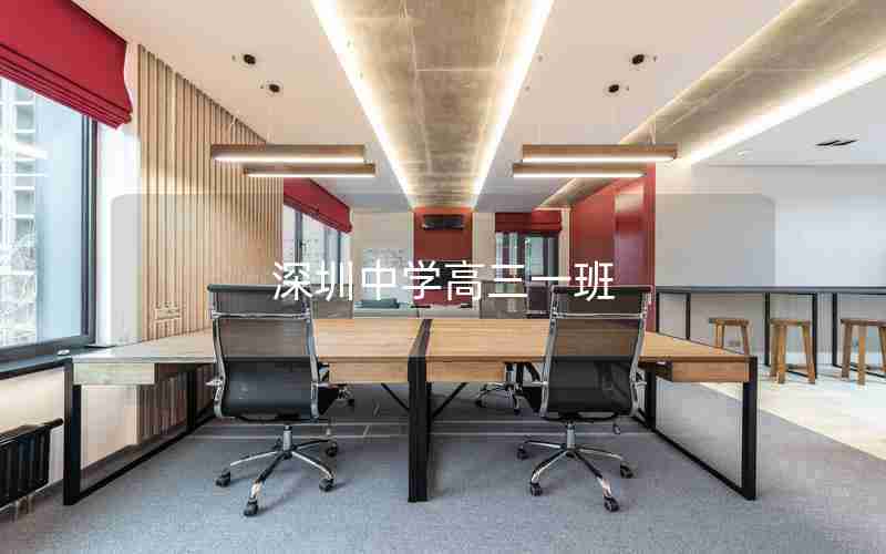 深圳中学高三一班