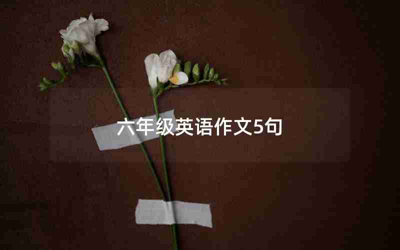 六年级英语作文5句