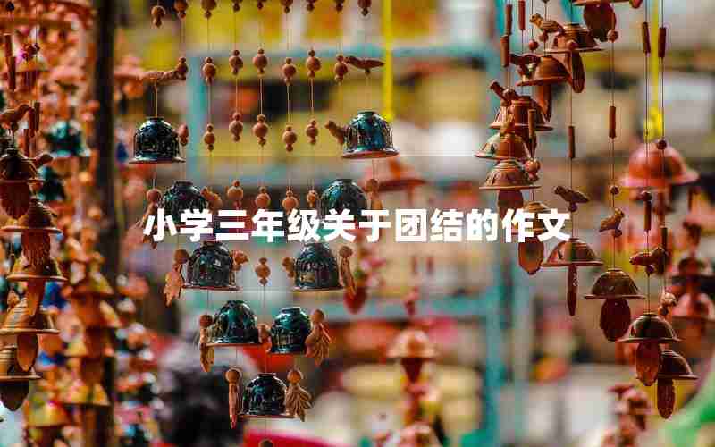 小学三年级关于团结的作文
