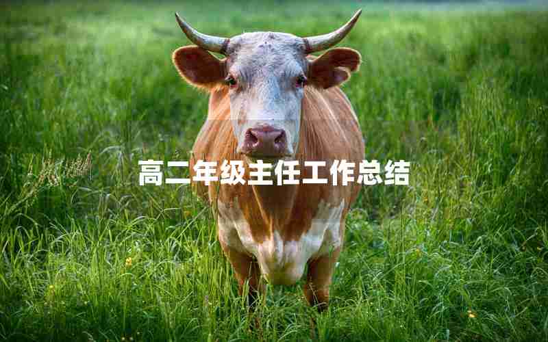 高二年级主任工作总结