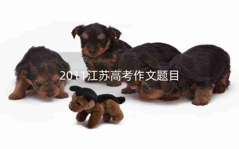 2011江苏高考作文题目
