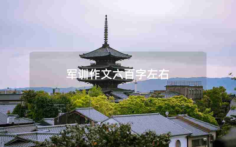 军训作文六百字左右