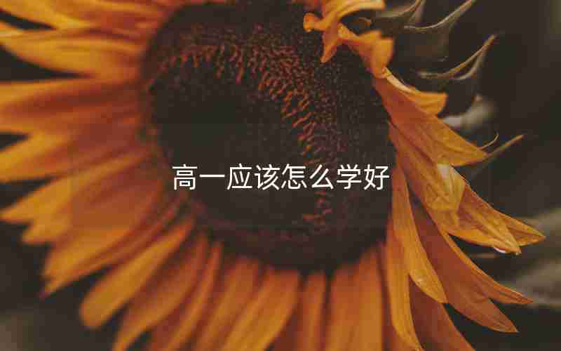 高一应该怎么学好