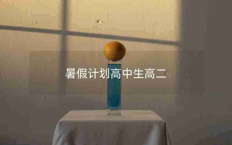 暑假计划高中生高二