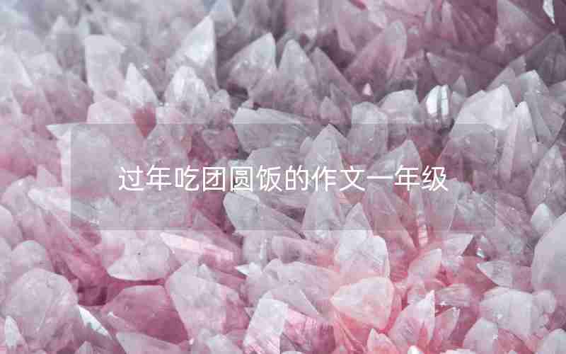 过年吃团圆饭的作文一年级