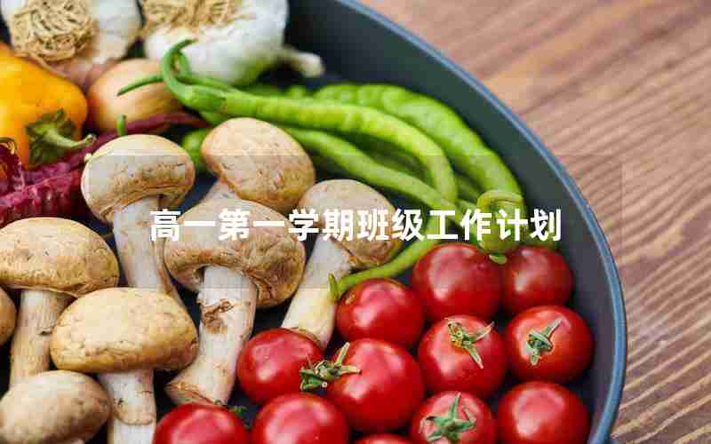 高一第一学期班级工作计划