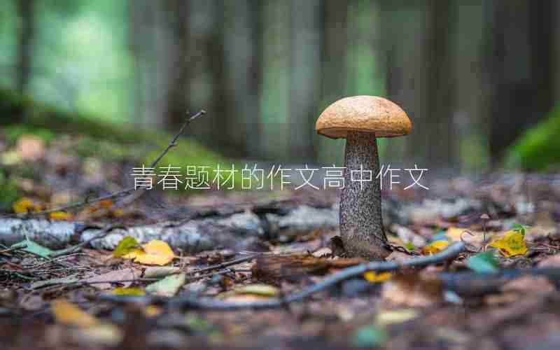 青春题材的作文高中作文