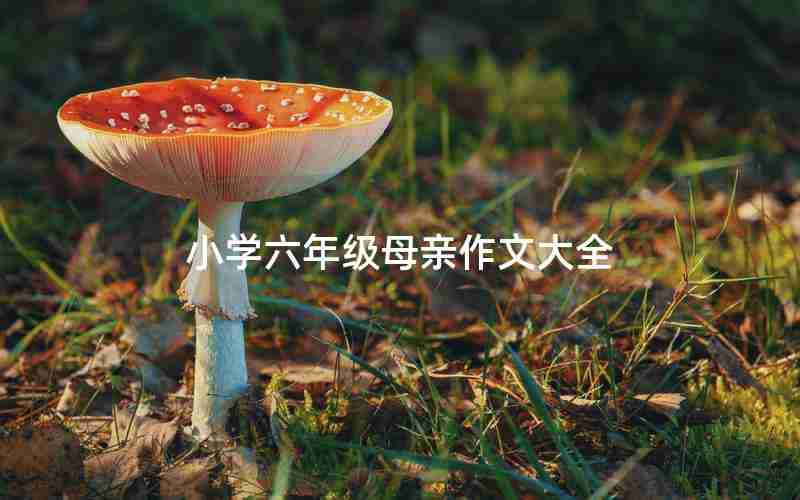 小学六年级母亲作文大全