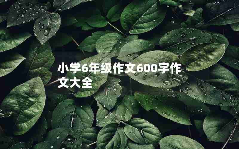 小学6年级作文600字作文大全