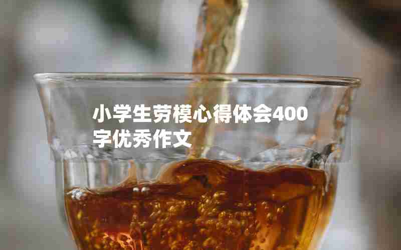 小学生劳模心得体会400字优秀作文