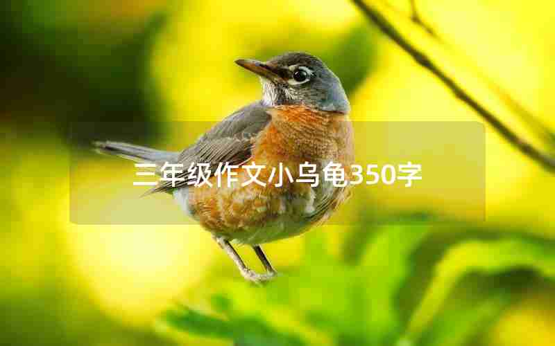 三年级作文小乌龟350字