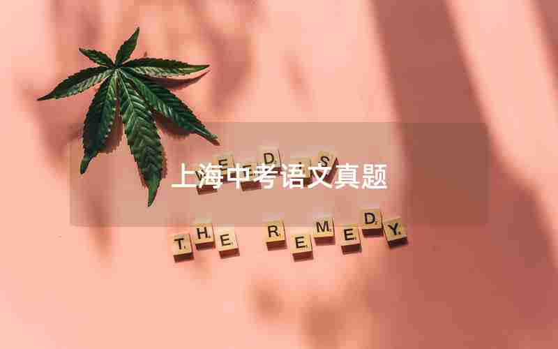 上海中考语文真题