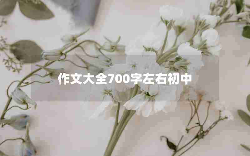 作文大全700字左右初中