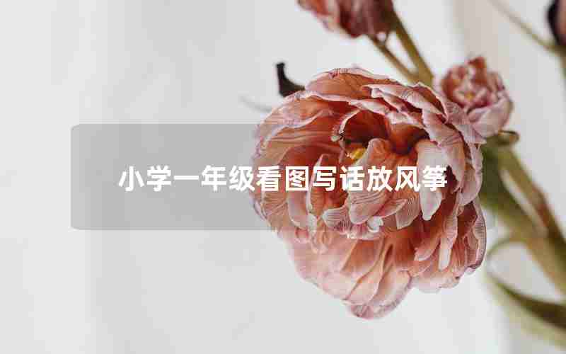 小学一年级看图写话放风筝