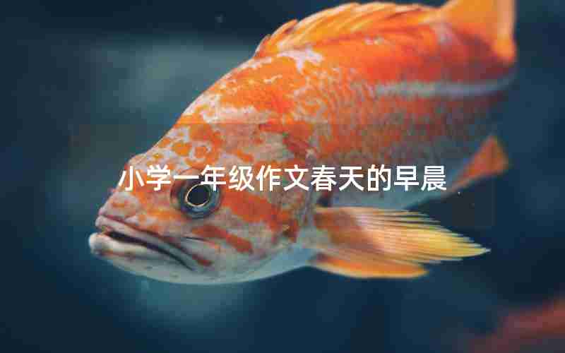 小学一年级作文春天的早晨