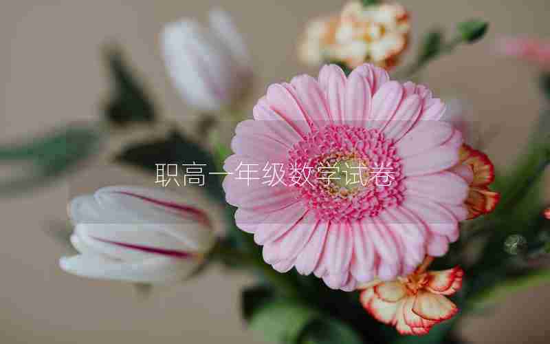 职高一年级数学试卷