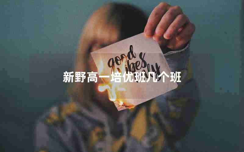 新野高一培优班几个班