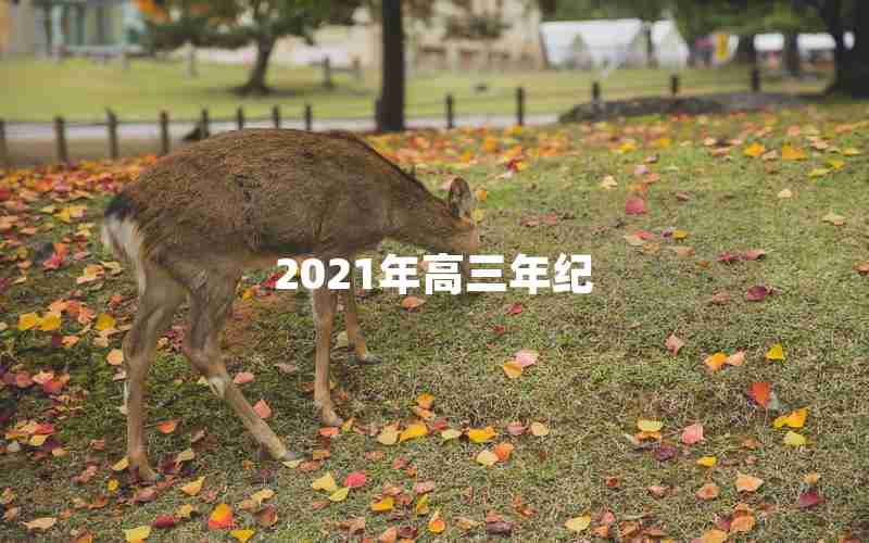2021年高三年纪