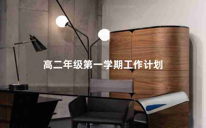高二年级第一学期工作计划