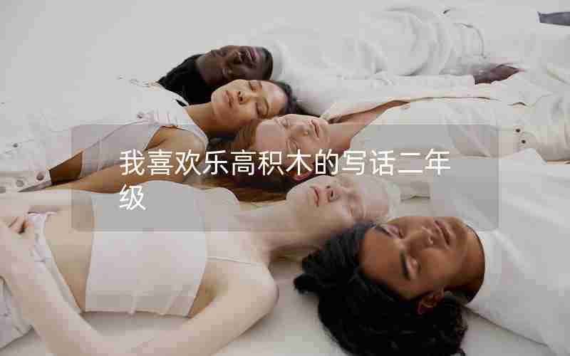 我喜欢乐高积木的写话二年级