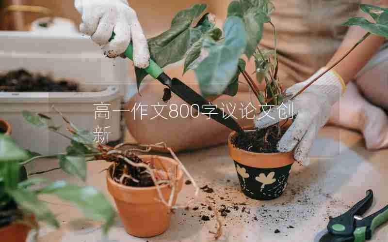 高一作文800字议论文创新