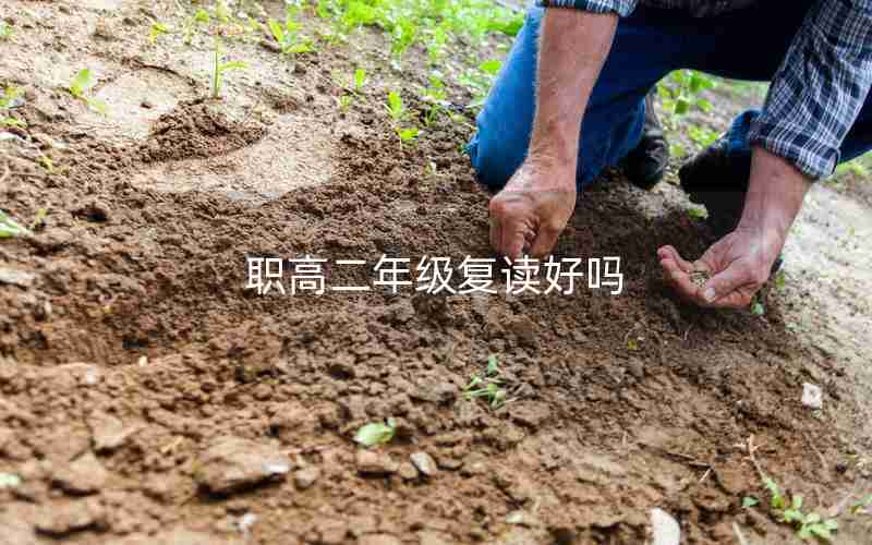 职高二年级复读好吗