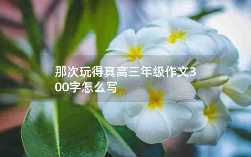 那次玩得真高三年级作文300字怎么写