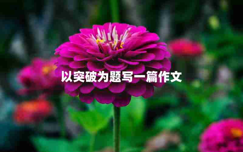 以突破为题写一篇作文