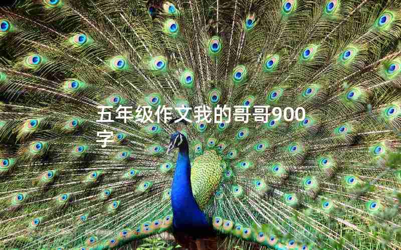 五年级作文我的哥哥900字