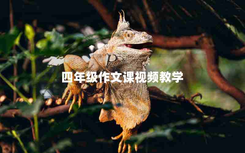 四年级作文课视频教学