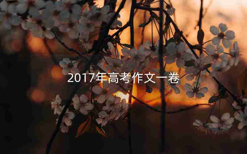 2017年高考作文一卷