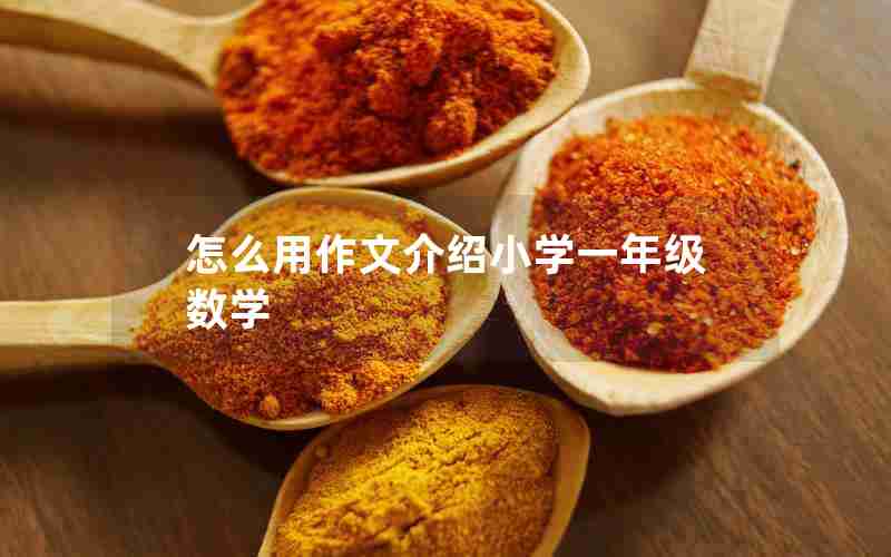 怎么用作文介绍小学一年级数学