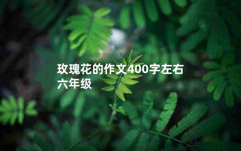 玫瑰花的作文400字左右六年级