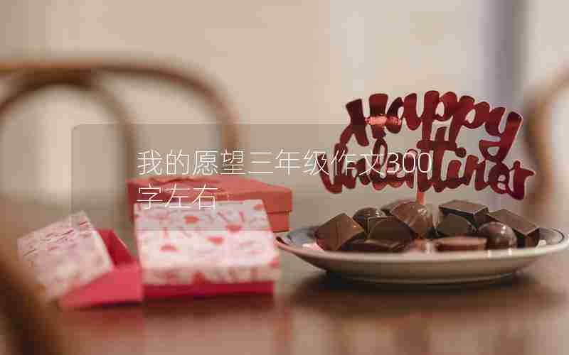 我的愿望三年级作文300字左右