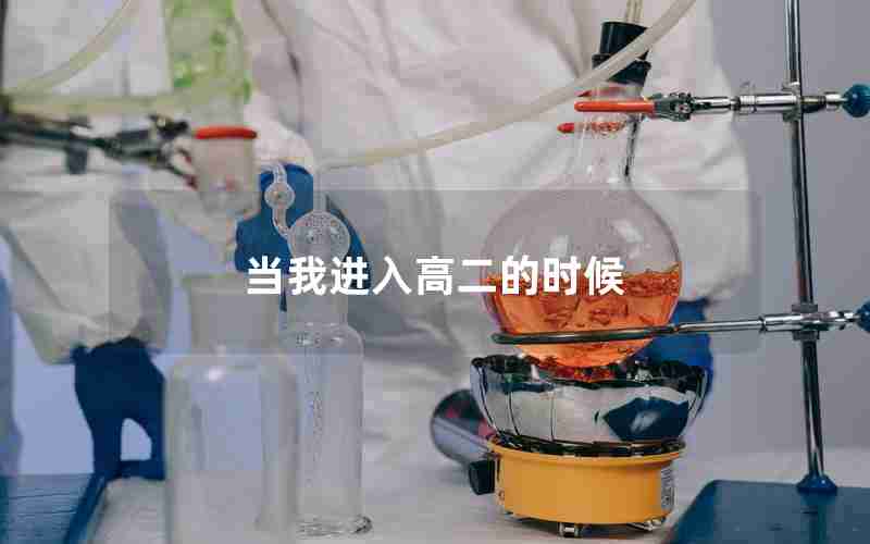当我进入高二的时候