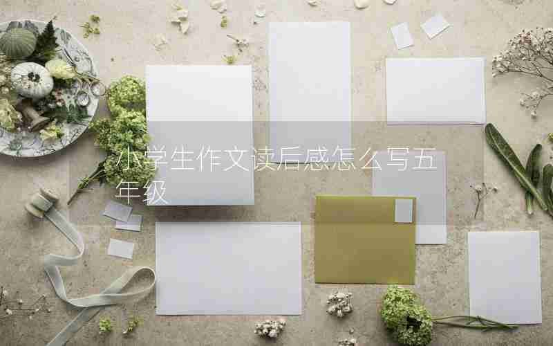 小学生作文读后感怎么写五年级