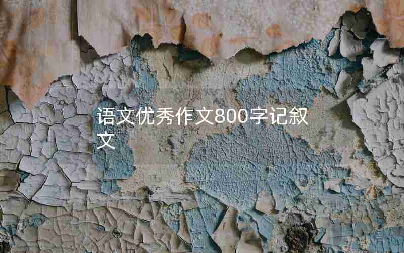 语文优秀作文800字记叙文