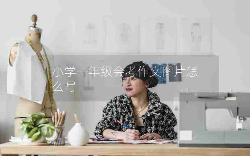 小学一年级会考作文图片怎么写