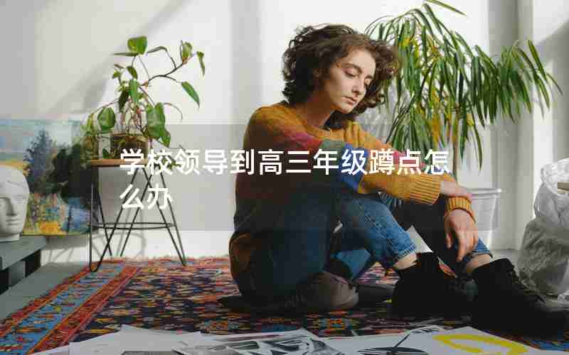 学校领导到高三年级蹲点怎么办