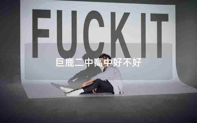 巨鹿二中高中好不好